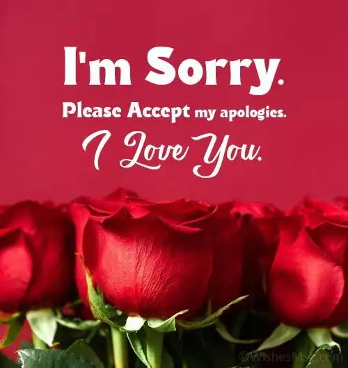 sad sorry images